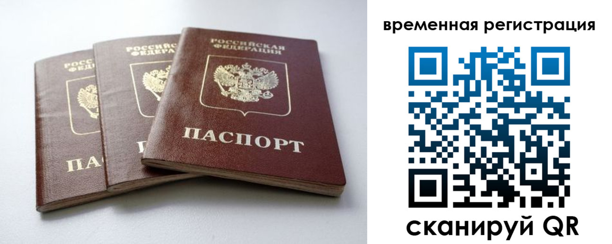 прописка для школы в Курске